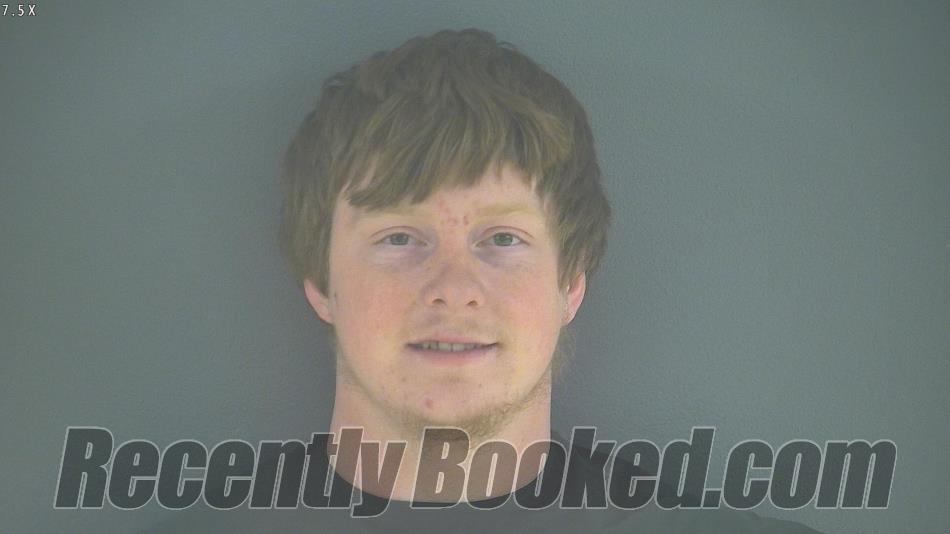Booking photo from Bedford County, Virginia