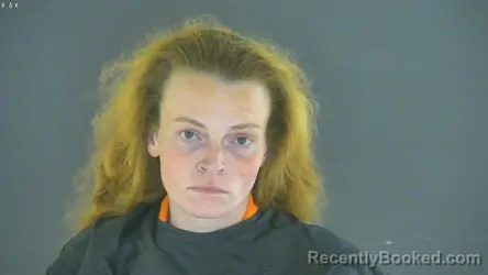 Mugshot of Raven Nicole Adkins booked in Bedford County, Virginia on October 24, 2026