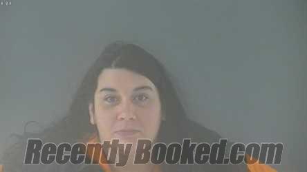 Booking photo from Bedford County, Virginia
