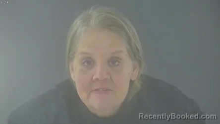 Mugshot of SHANNON LYNN HOLLAND