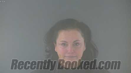 Booking photo from Bedford County, Virginia