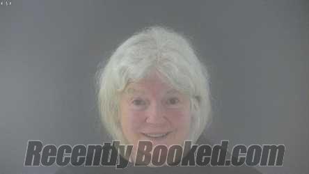 Booking photo from Bedford County, Virginia