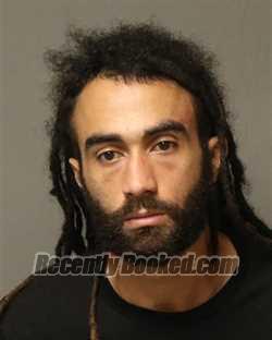 Booking photo from Bland County, Virginia