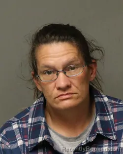 Mugshot of KIMBERLY RENEE MEADOWS