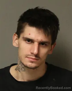 Booking photo from Bland County, Virginia