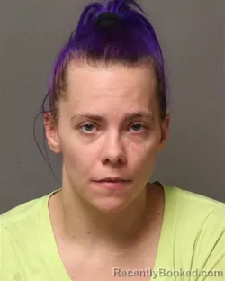 Mugshot of GABRIELLE DENAE MERRIX