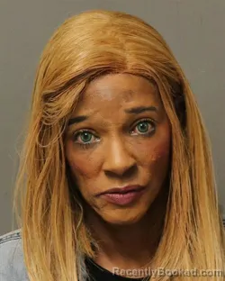 Booking photo from Bland County, Virginia