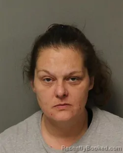 Mugshot of JESSICA REYNOLDS REGISTER