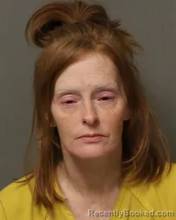 Mugshot of MICHELLE DAWN COOK