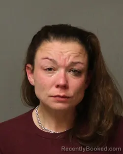 Booking photo from Bland County, Virginia