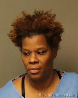 Mugshot of CHRISTIE ANN YOUNG