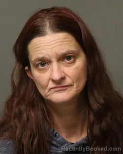 Mugshot of DENA FAYE HAWKS
