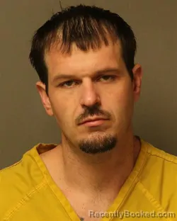 Mugshot of ARLIN JAMES ANDERS