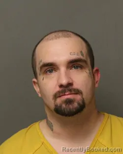 Mugshot of MICHAEL PATRICK LESSNER