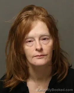 Mugshot of MICHELLE DAWN COOK