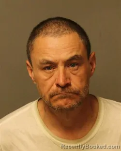 Mugshot of WILLIAM DAVID JOHNSON