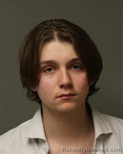 Mugshot of BRETT WAYLAND NASH