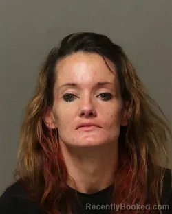 Mugshot of BRANDI NICHOLE MILLER