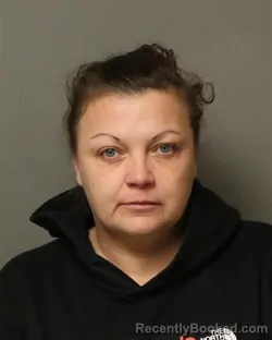 Mugshot of DANESSA MAE WIMMER