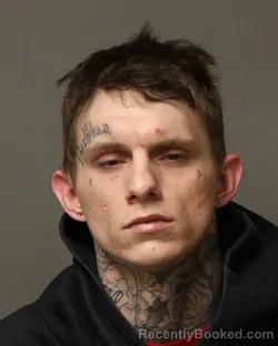 Mugshot of WILLIAM THOMAS MCKIN VANDYE