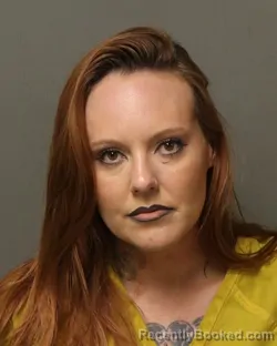 Mugshot of KARI SUZZANNE BLEVINS