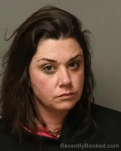 Mugshot of MELISSA SUE MOLDOVAN