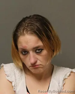 Mugshot of STACY LYNN SARVER