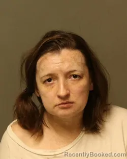 Mugshot of CYNTHIA L MULLINS