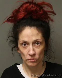 Mugshot of HEATHER RENA JONES