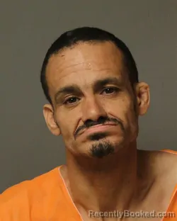 Mugshot of Randy Leon Hopkins