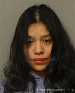 Mugshot of XLMENA GORZAGA