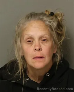 Mugshot of CHERYL ANN LAWSON