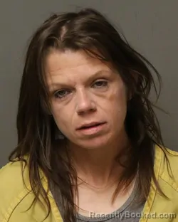 Mugshot of HEATHER RENEE BLANKENSHIP