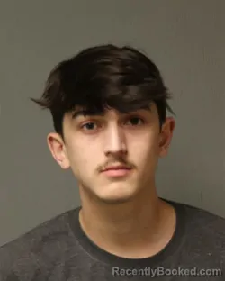 Mugshot of NATHAN NICHOLAS WOLFE