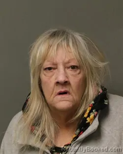 Mugshot of KAREN ANN DICKERSON