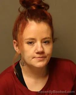 Mugshot of SANTANNA RENAY ALLISON