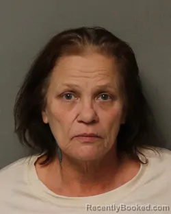 Mugshot of LISA LYNN HARVEY