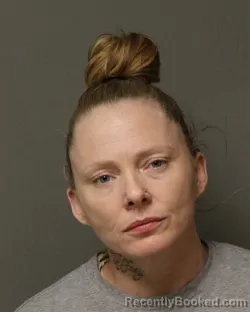 Mugshot of MARY ANN FRYE