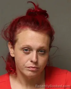 Mugshot of TIFFANY DANIELLE BONHAM