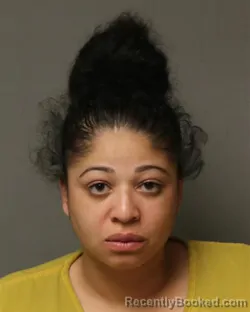 Mugshot of MARISA MAREE PAGE
