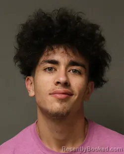 Mugshot of PRESTON LEE HENDRICKSON