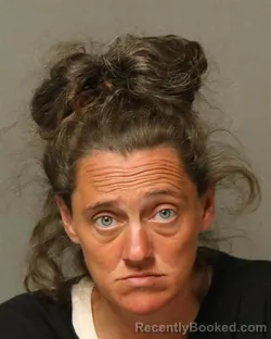Mugshot of JESSICA VIOLA HAWKS
