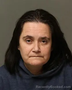 Mugshot of AMANDA GAIL PAINTER