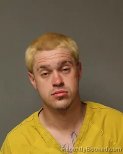 Mugshot of BRYAN KEITH ROBERSON