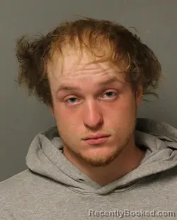 Mugshot of SHAWN OLPHIA H PRICE