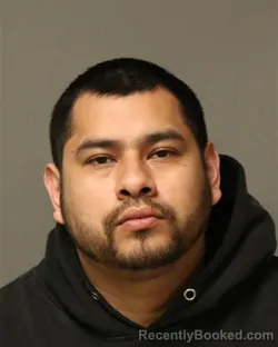 Mugshot of RICARDO B RIVERO