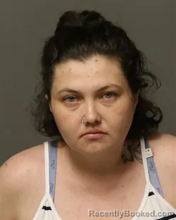 Mugshot of MANDY MARIE HULL booked in Bland County, Virginia on April 4, 2026