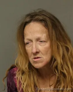 Mugshot of VALERIE BLANKENSHIP SHINAULT booked in Bland County, Virginia on April 17, 2026
