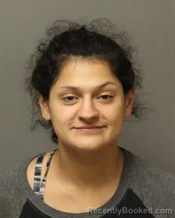 Mugshot of ELIZABETH ESPARANZA OSEGUEDA booked in Bland County, Virginia on April 17, 2026
