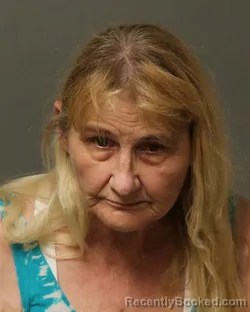 Mugshot of FLO DENIESE SHUPE booked in Bland County, Virginia on April 19, 2026